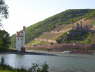M�useturm und Ruine Ehrenfels